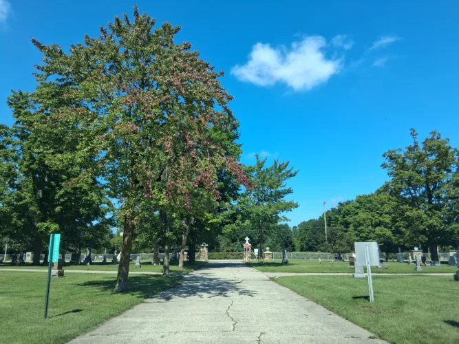 Warmer outlook may shift Northern Michigan’s fall color show
